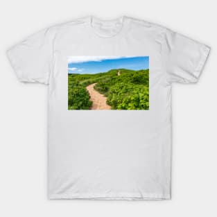 Sand Dunes T-Shirt